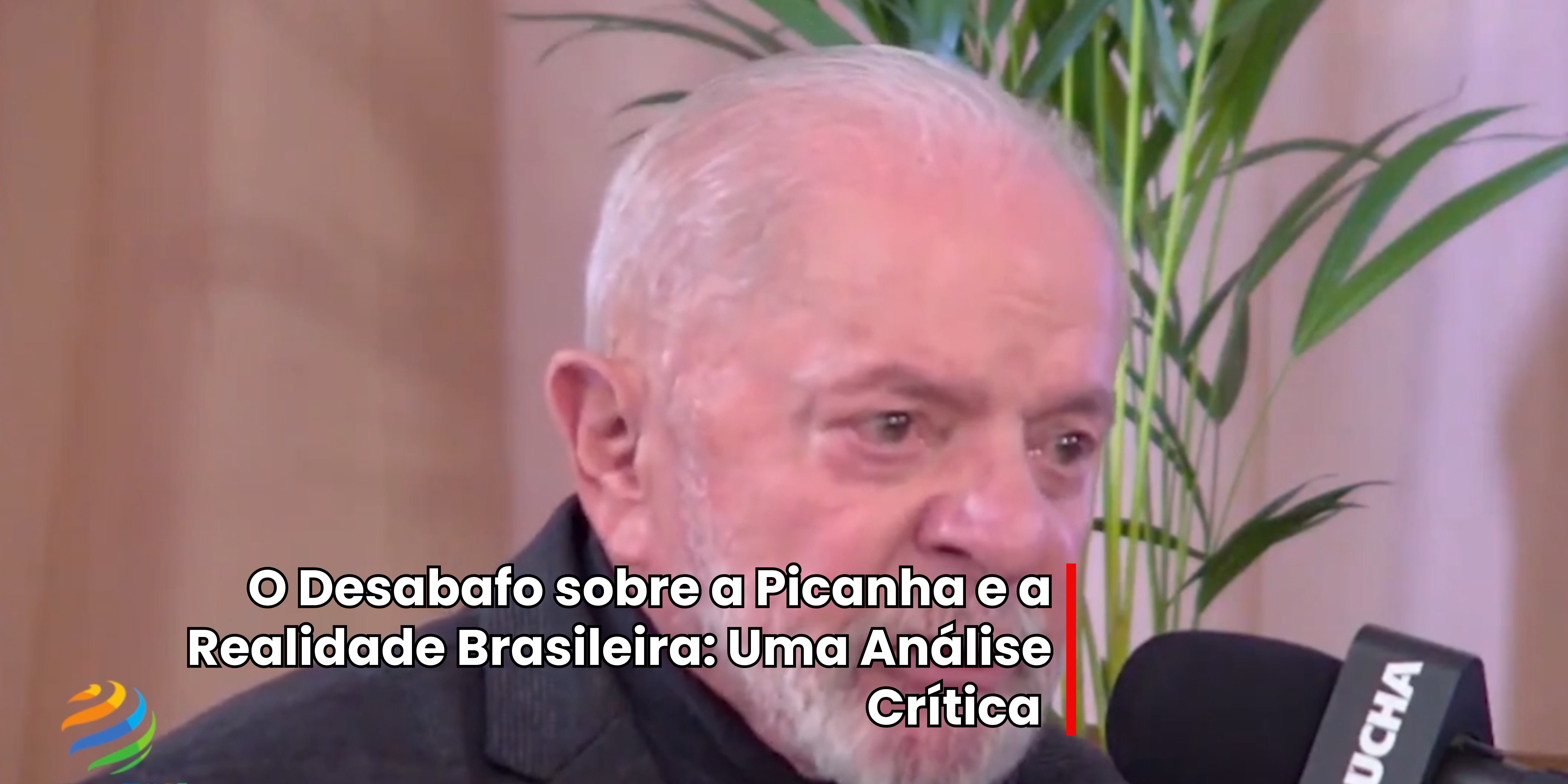 A Picanha e a Realidade Brasileira