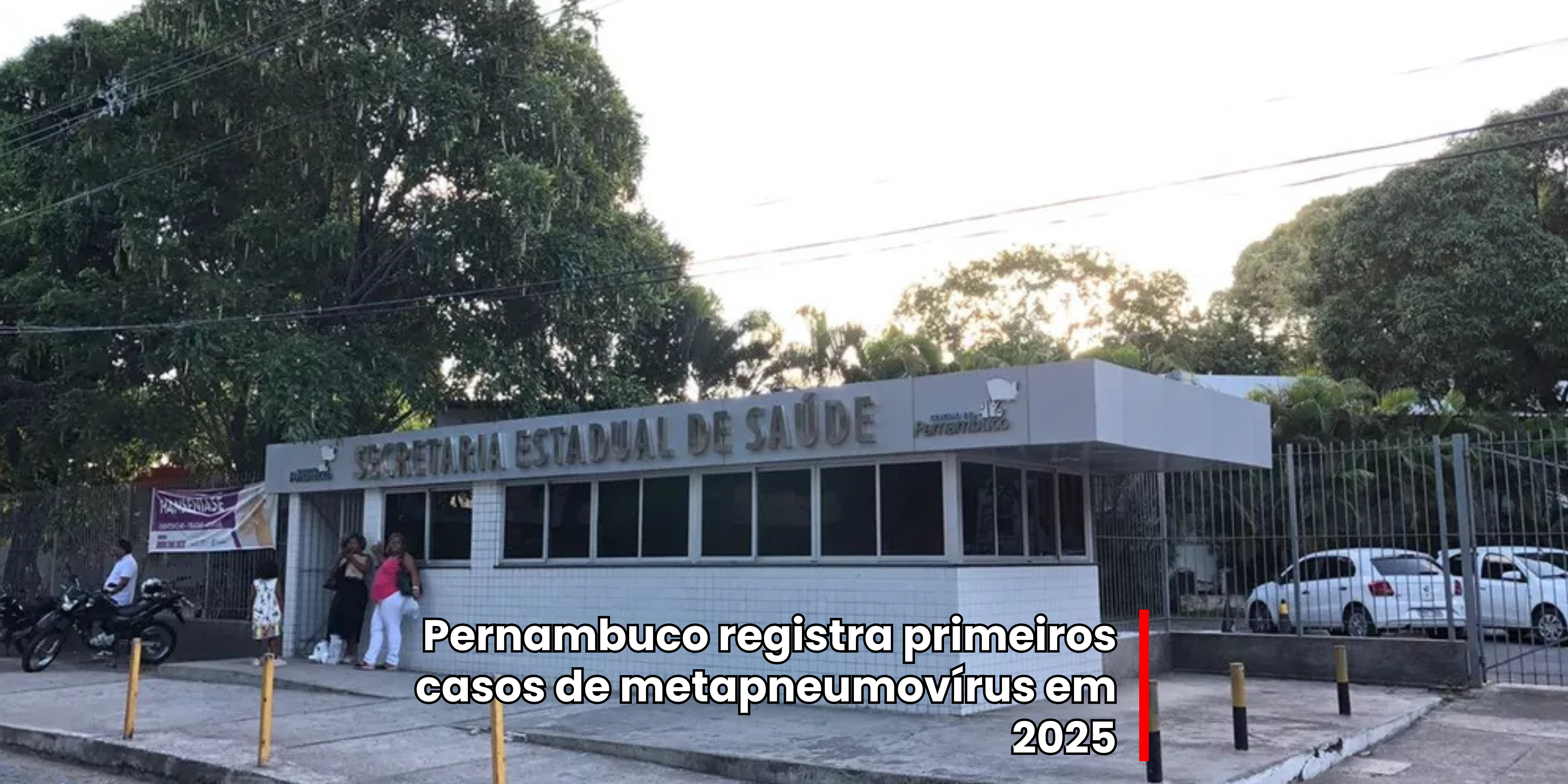 PERNAMBUCO REGISTRA PRIMEIROS CASOS DE METAPNEUMOVIRUS