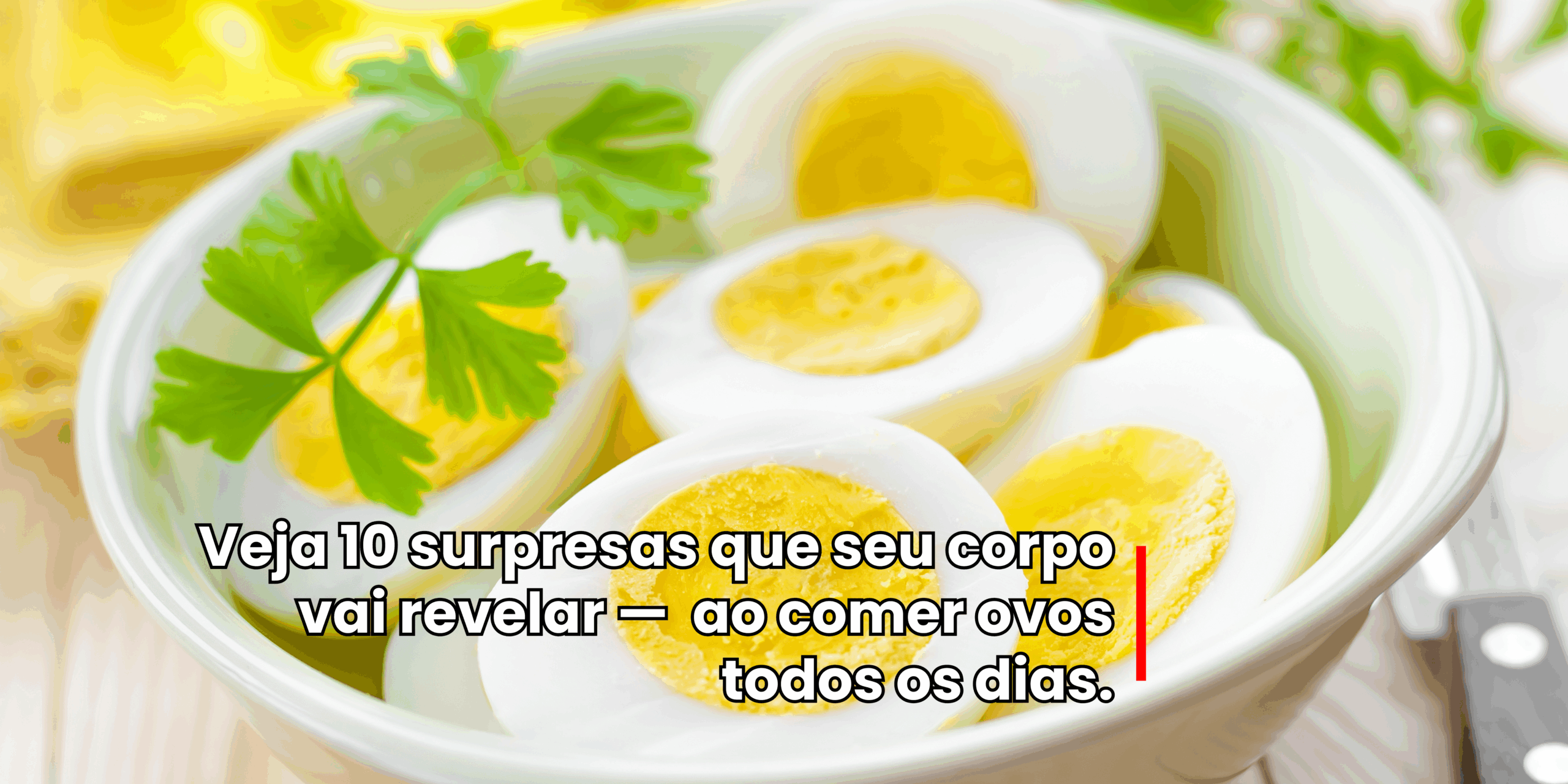 OVOS TODOS OS DIAS?